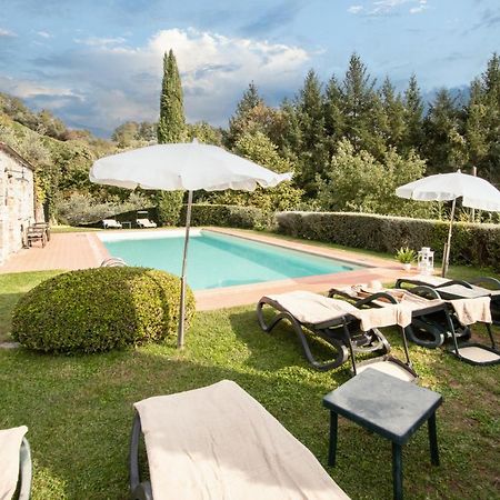Casetta Di Butia, Mimosa Apartment Борго-а-Моццано Экстерьер фото