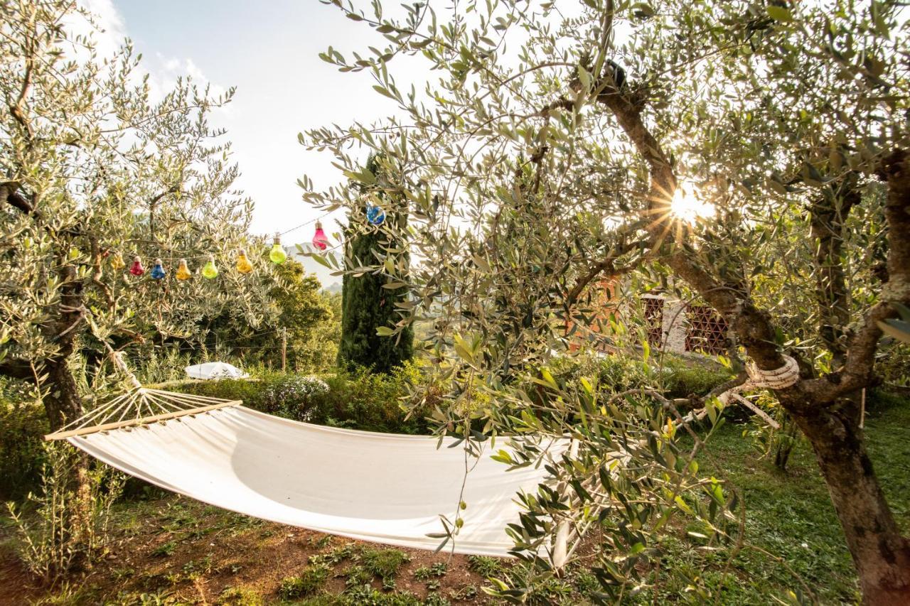 Casetta Di Butia, Mimosa Apartment Борго-а-Моццано Экстерьер фото