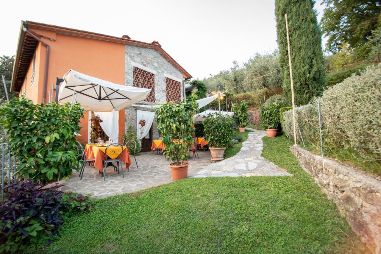 Casetta Di Butia, Mimosa Apartment Борго-а-Моццано Экстерьер фото